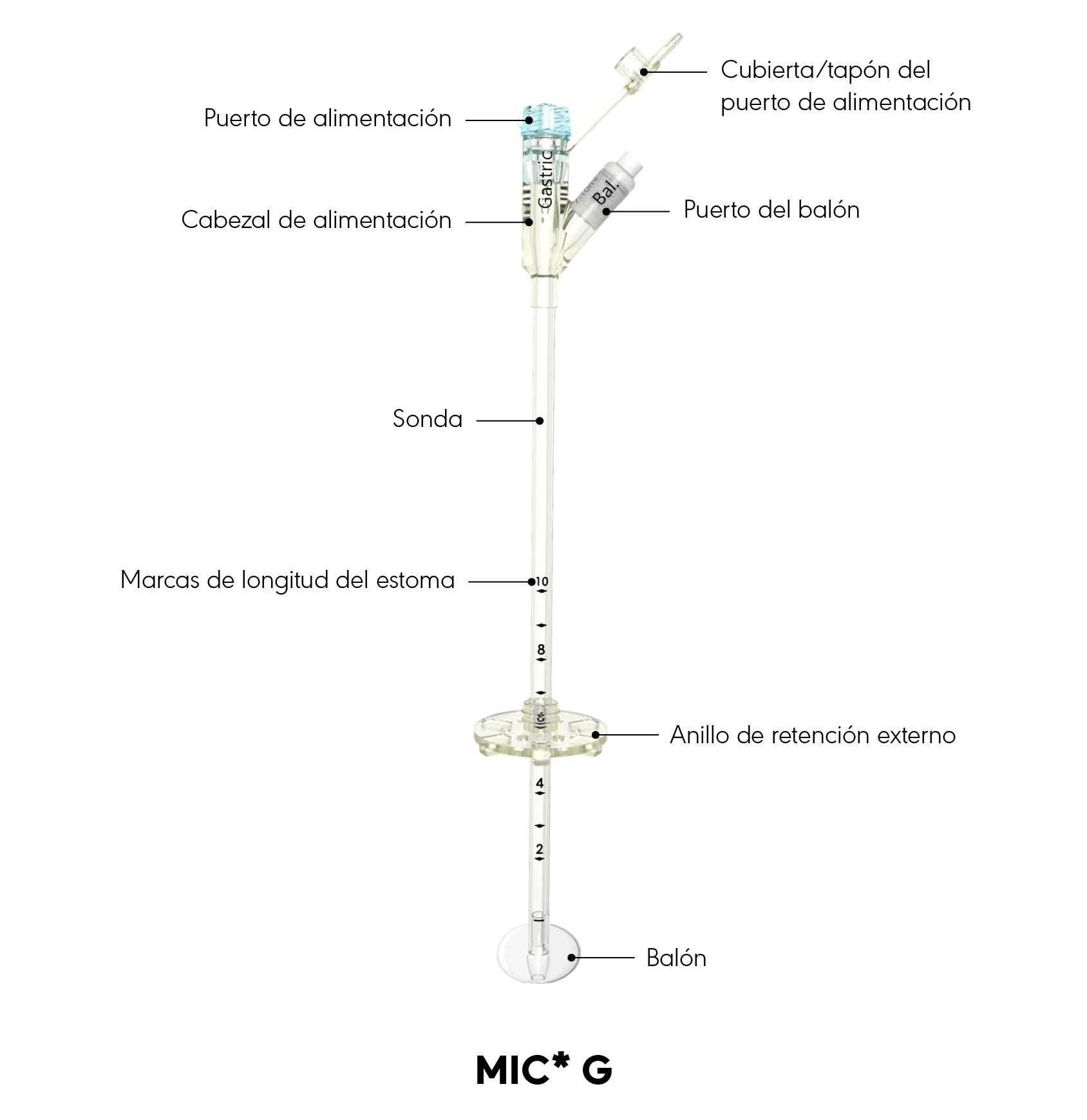 Diagrama del producto G MIC*