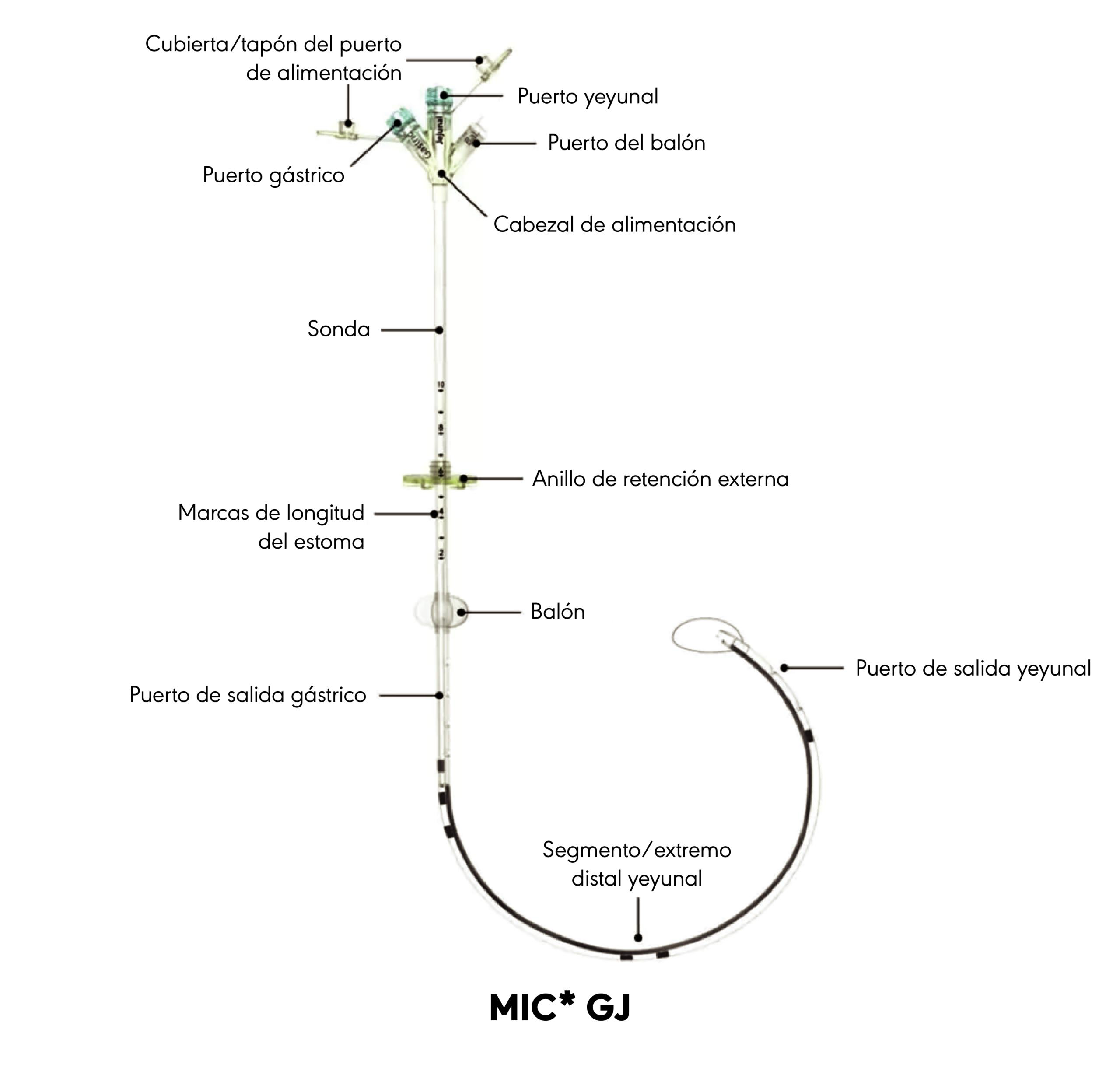 Diagrama del producto GY MIC*