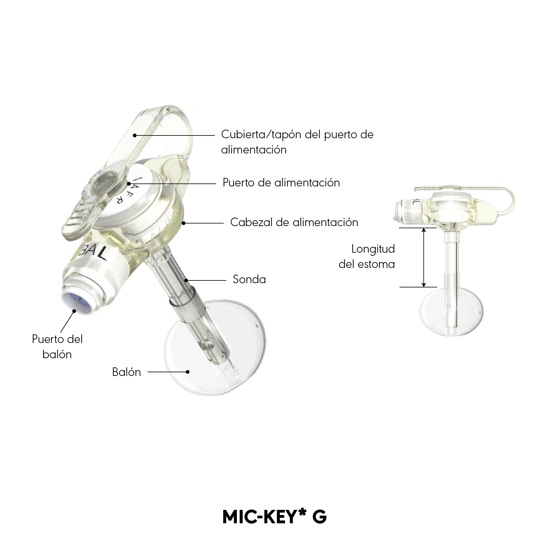Diagrama del producto G MIC-KEY*