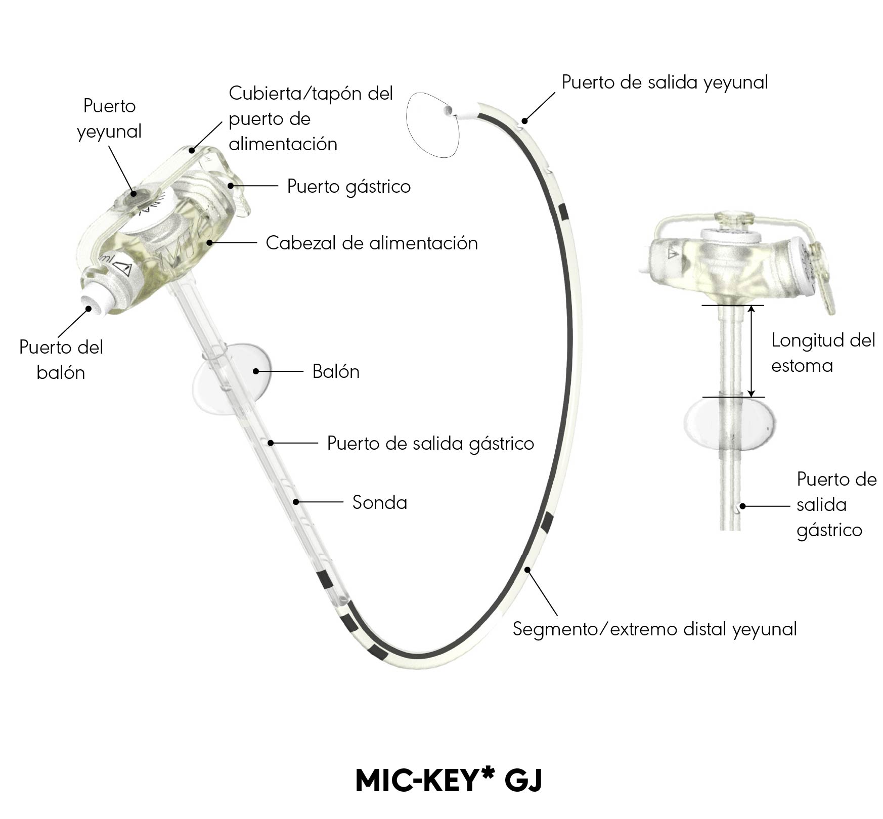 Diagrama del producto GY MIC-KEY*